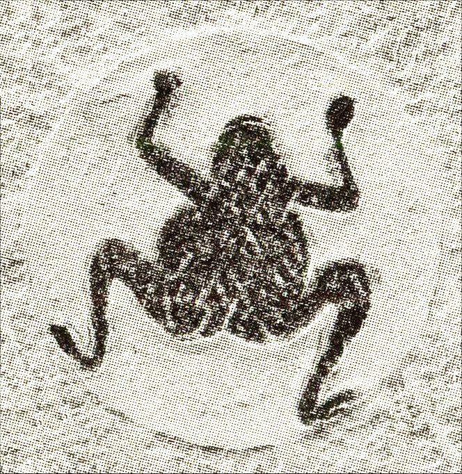 Frog in the moon from a second-century CE stone relief in a Chinese tomb.